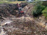 Ausbaggern des groen Teiches