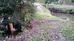 Weg vom unteren zum mittleren Teich