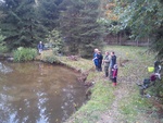 Abfischen des unteren Teiches am 20.10.2013