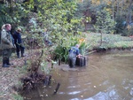 Abfischen des unteren Teiches am 20.10.2013
