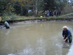 Abfischen des unteren Teiches am 20.10.2013
