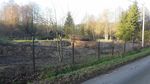 Januar 2016: neuer Teich