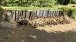 Teichbau im Sommer 2020